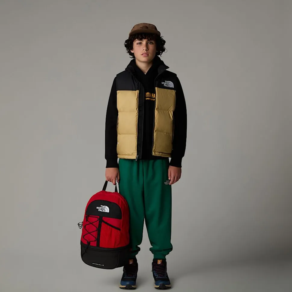 Shop The North Face Vandtætte Fastpack Mid Vandrestøvler Til Unge Shady Blue-TNF White