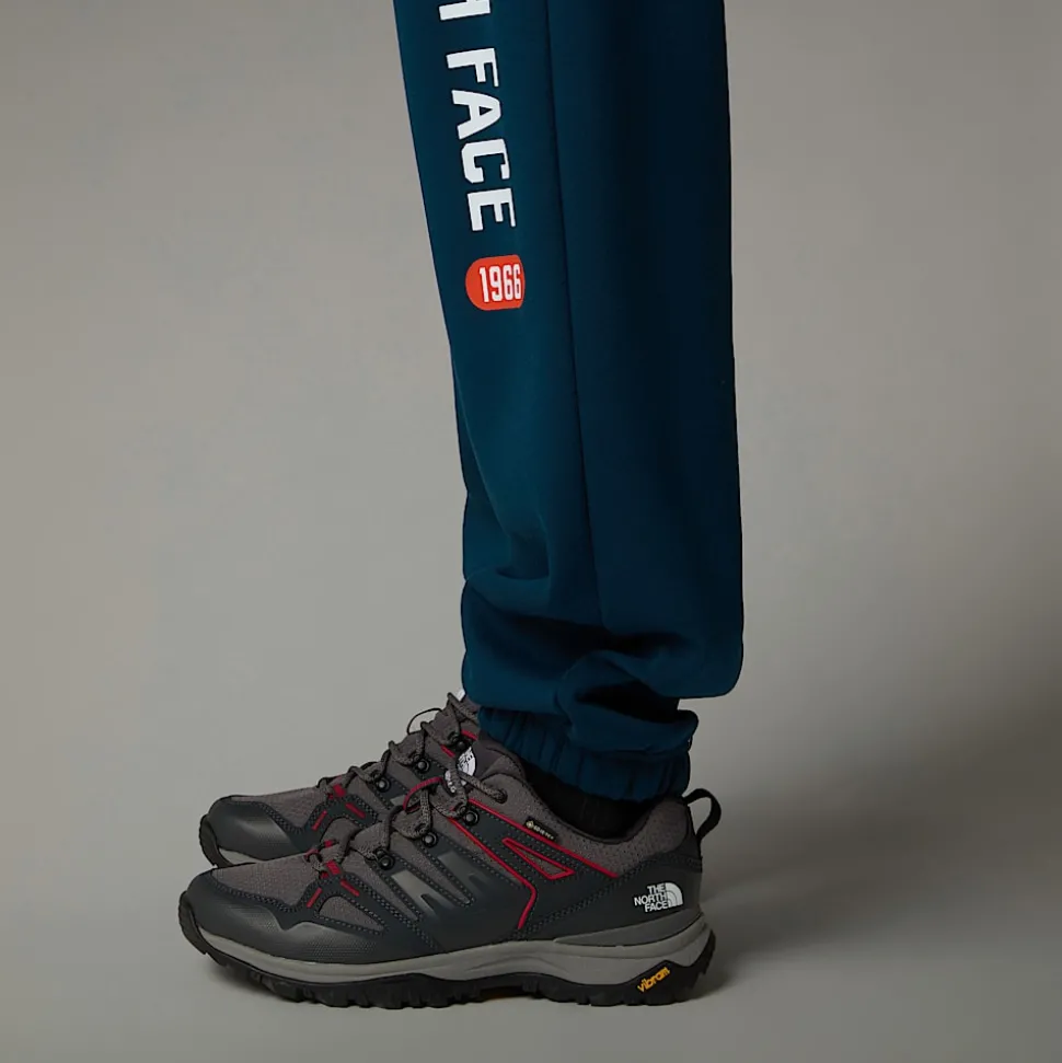 Sale The North Face Varsity Graphic Joggingbukser Til Herrer Midnight Petrol