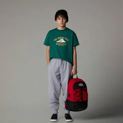 Online The North Face Varsity Graphic Oversized T-shirt Til Unge Evergreen