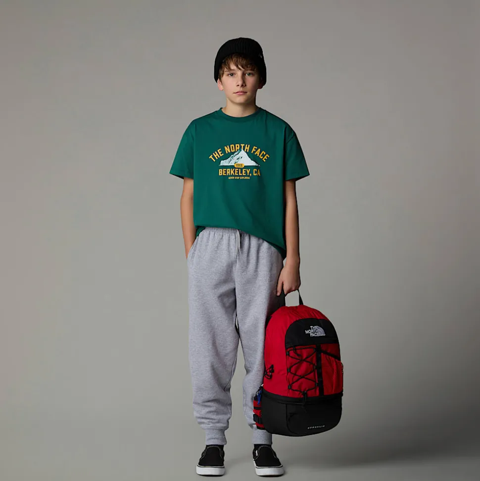 Online The North Face Varsity Graphic Oversized T-shirt Til Unge Evergreen