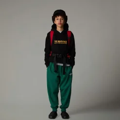 Clearance The North Face Varsity Graphic Relaxed Hættetrøje Til Unge TNF Black