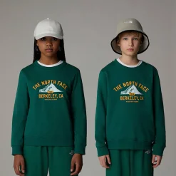 Sale The North Face Varsity Graphic Relaxed Sweatshirt Til Unge Evergreen