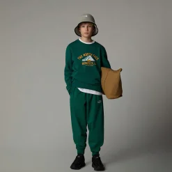 Sale The North Face Varsity Graphic Relaxed Sweatshirt Til Unge Evergreen