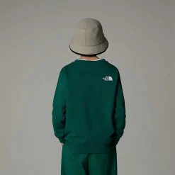 Sale The North Face Varsity Graphic Relaxed Sweatshirt Til Unge Evergreen