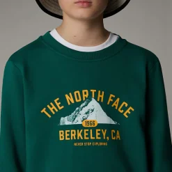 Sale The North Face Varsity Graphic Relaxed Sweatshirt Til Unge Evergreen