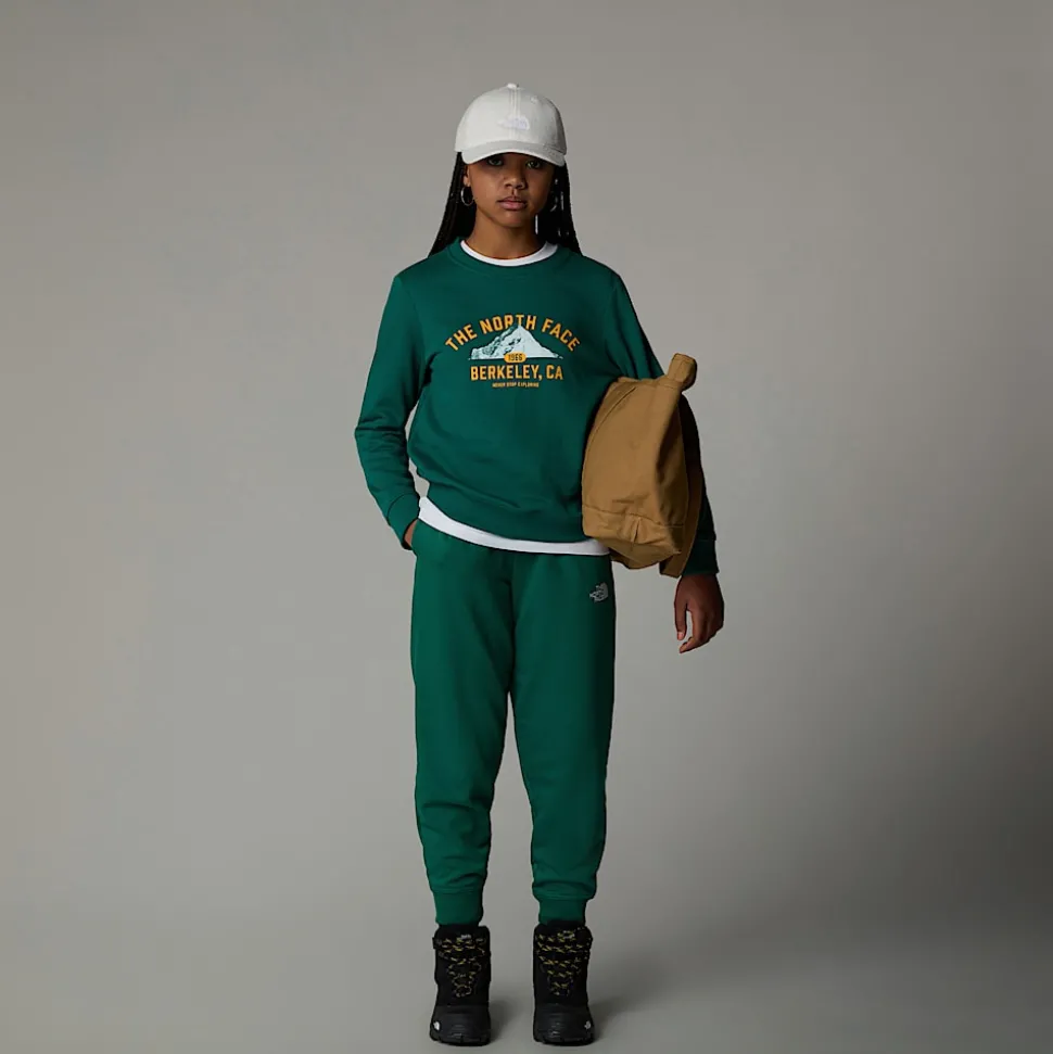 Sale The North Face Varsity Graphic Relaxed Sweatshirt Til Unge Evergreen