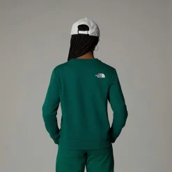 Sale The North Face Varsity Graphic Relaxed Sweatshirt Til Unge Evergreen