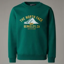 Sale The North Face Varsity Graphic Relaxed Sweatshirt Til Unge Evergreen