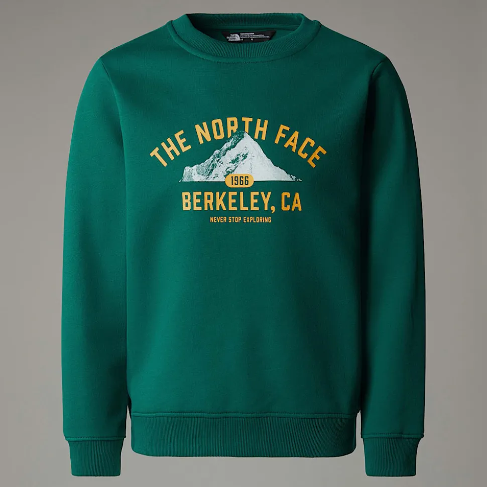 Sale The North Face Varsity Graphic Relaxed Sweatshirt Til Unge Evergreen