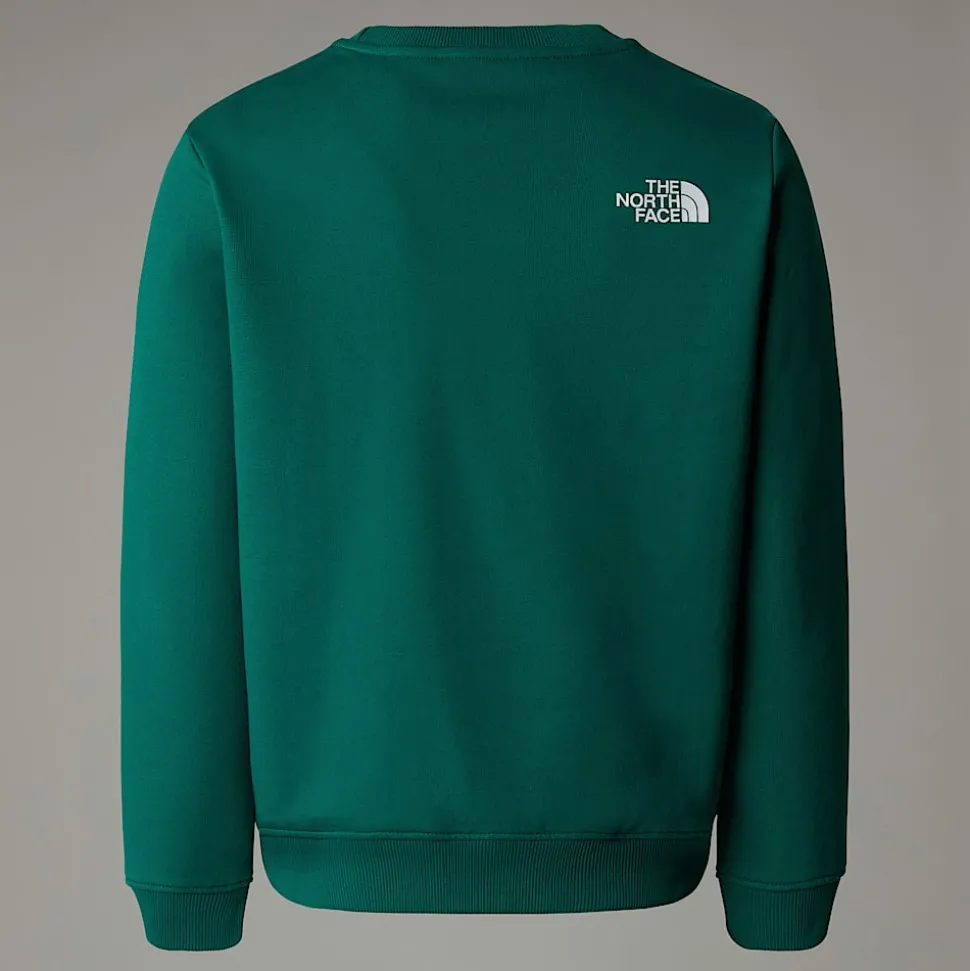 Sale The North Face Varsity Graphic Relaxed Sweatshirt Til Unge Evergreen