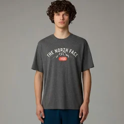Discount The North Face Varsity Graphic T-shirt Til Herrer TNF Medium Grey Heather
