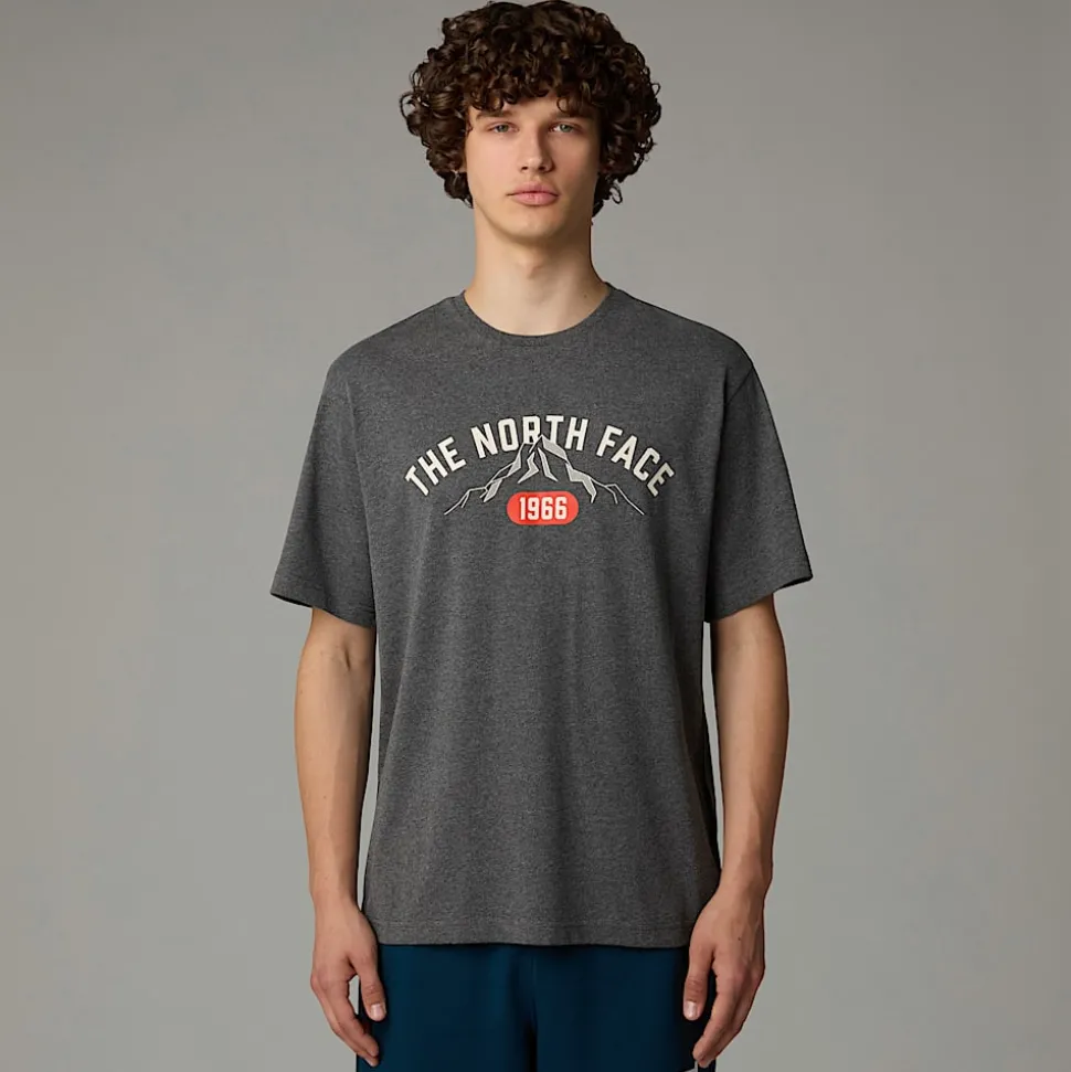 Discount The North Face Varsity Graphic T-shirt Til Herrer TNF Medium Grey Heather