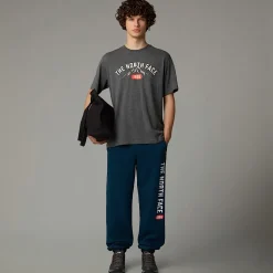 Discount The North Face Varsity Graphic T-shirt Til Herrer TNF Medium Grey Heather