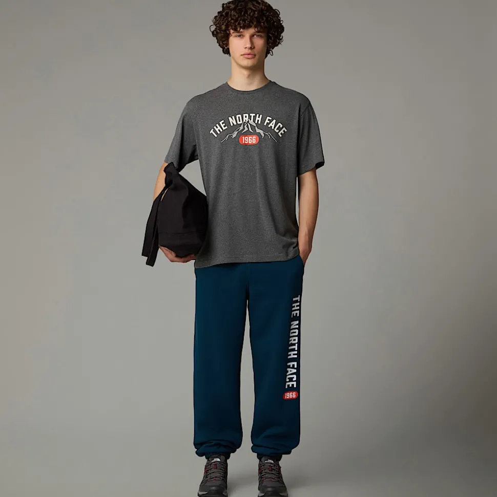 Discount The North Face Varsity Graphic T-shirt Til Herrer TNF Medium Grey Heather