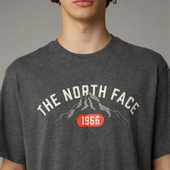 Discount The North Face Varsity Graphic T-shirt Til Herrer TNF Medium Grey Heather