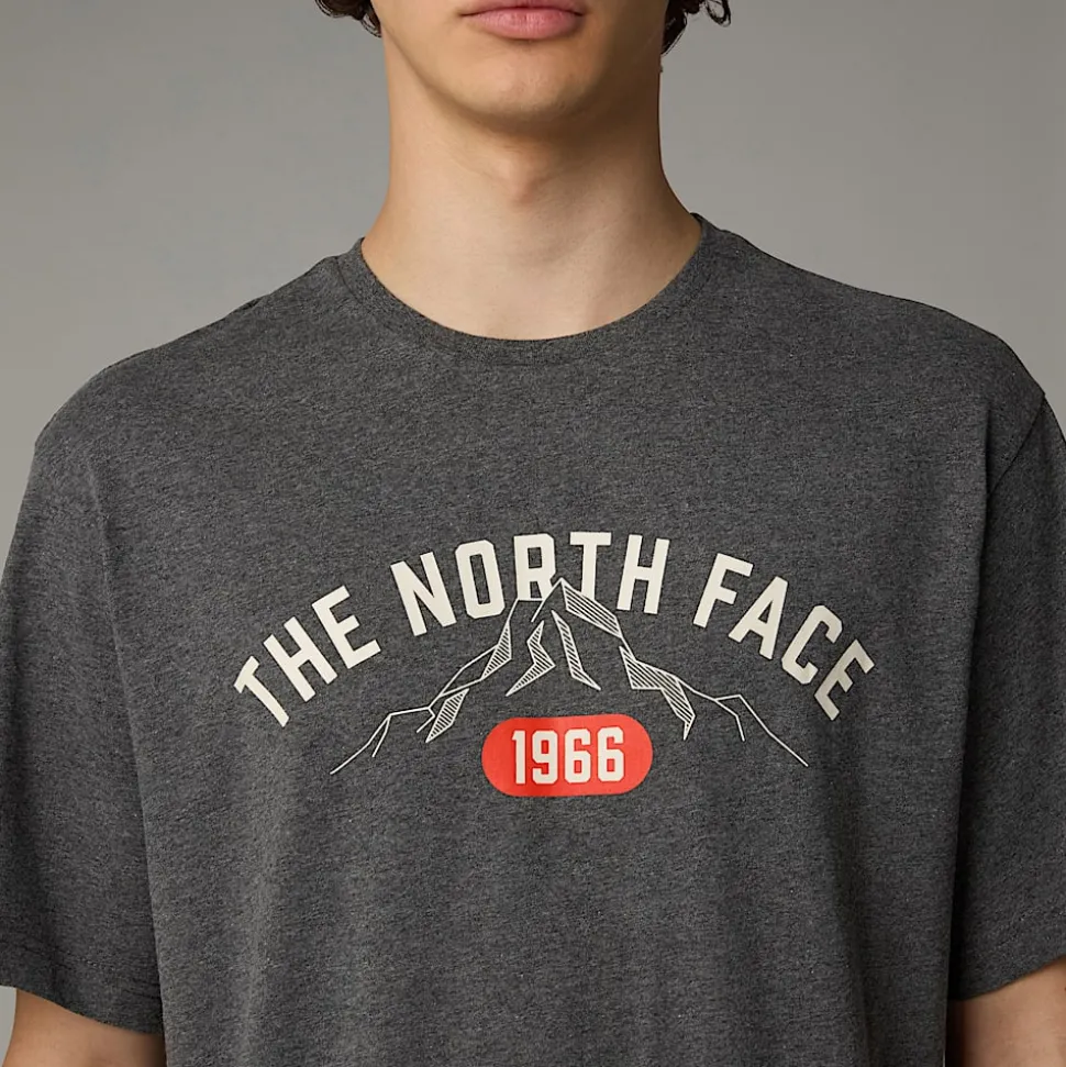 Discount The North Face Varsity Graphic T-shirt Til Herrer TNF Medium Grey Heather