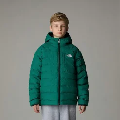 Clearance The North Face Vendbar Perrito Jakke Til Drenge Evergreen