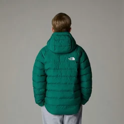 Clearance The North Face Vendbar Perrito Jakke Til Drenge Evergreen
