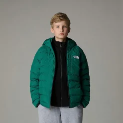 Clearance The North Face Vendbar Perrito Jakke Til Drenge Evergreen