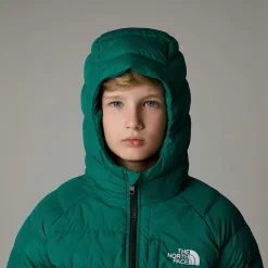 Clearance The North Face Vendbar Perrito Jakke Til Drenge Evergreen