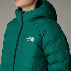 Clearance The North Face Vendbar Perrito Jakke Til Drenge Evergreen