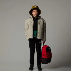 Clearance The North Face Vendbar Shasta Jakke Med Lynlås Og Hætte Til Drenge Clay Grey