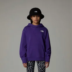 Hot The North Face Vertical Graphic Oversized Hættetrøje Til Piger Peak Purple